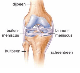 kijkoperatie_aan_de_knie_fig_1.png