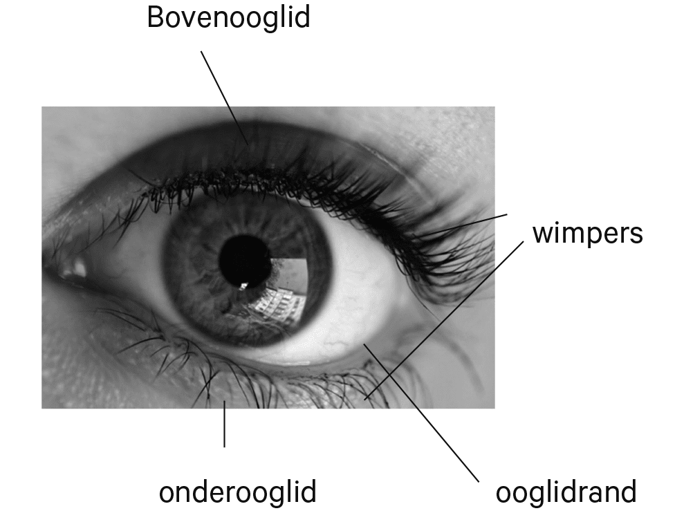 ooglidcorrectie.jpg