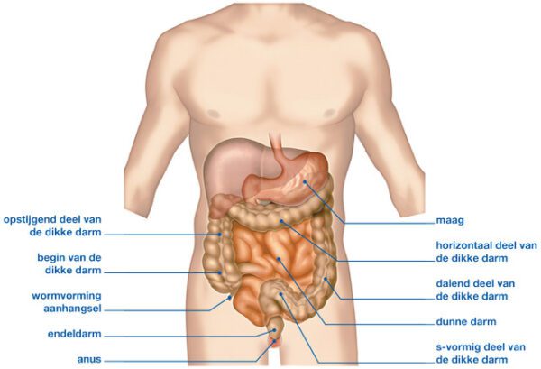 stoma_def_02_copyright_convatec.jpeg